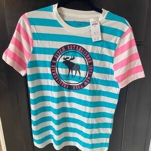 Abercrombie Kids Blue and Pink Striped T-Shirt